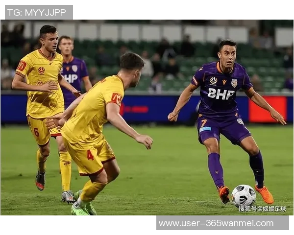 纽卡斯足球俱乐部的辉煌历程与未来展望分析