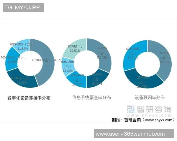 西亚足球锦标赛精彩回顾与未来展望各国球队的实力对比与发展趋势分析