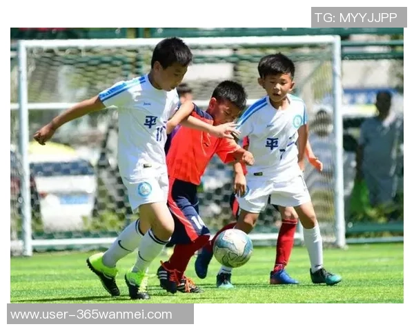 足球比赛人数最少的规则与历史探讨及其对比赛的影响分析